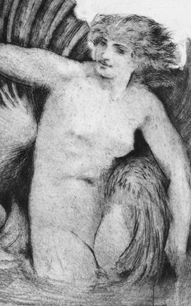 Sirena y concha