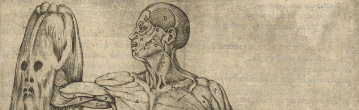 Imagen del libro Historia de la composición del cuerpo humano