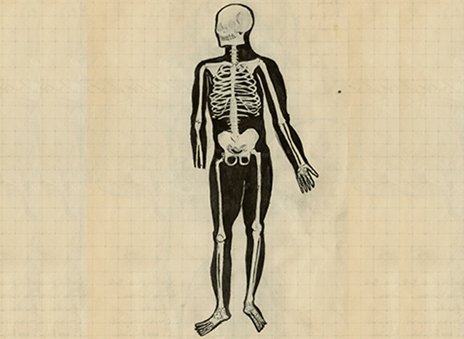 Dibujo de esqueleto realizado por Luis Martín-Santos en uno de sus cuadernos. Archivo Herederos de Luis Martín-Santos