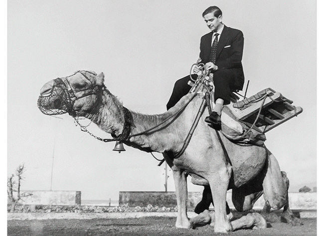 Colección de Susana Aldecoa