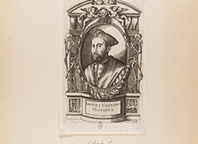 Retrato de Juan Valverde de Amusco o Hamusco