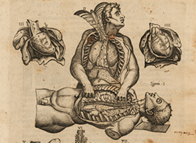 Valverde de Hamusco, Juan (s. XVI). Historia de la composición del cuerpo humano,1556. R 11671