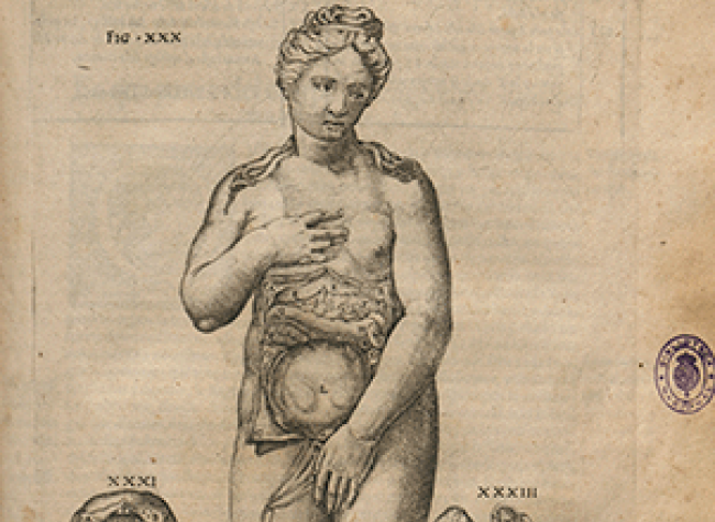 Valverde de Hamusco, Juan (s. XVI). Historia de la composición del cuerpo humano, 1556. R_16488_0121