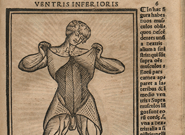 Anatomía Carpi, INC_981_F02_0006